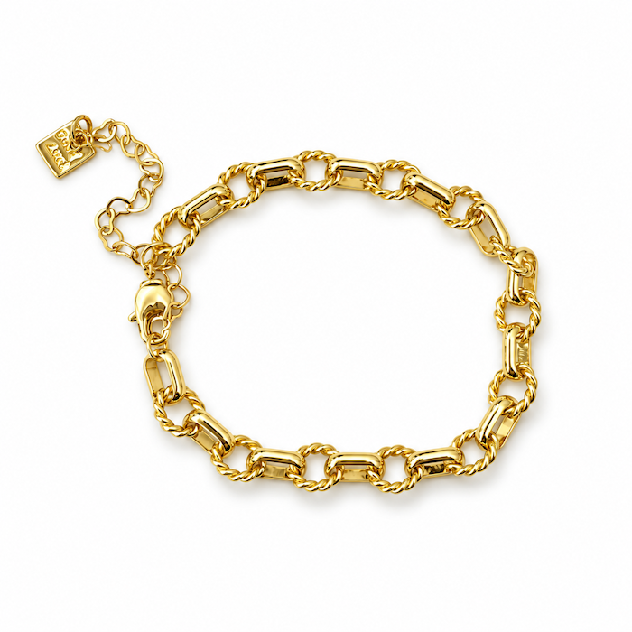 Gold Oval Twist Bracelet Bundle - (Chain + 4 Charms) TT LIVE