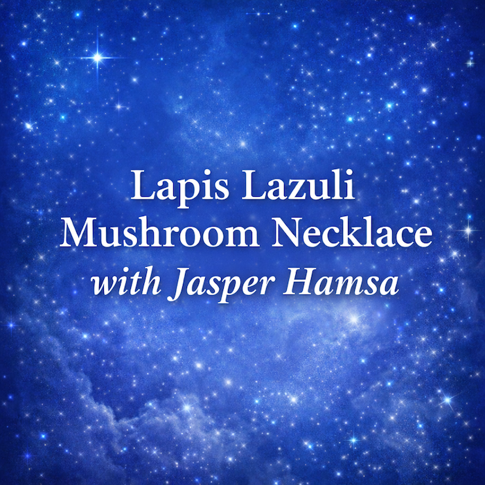 Lapis Lazuli Mushroom Necklace-Jasper Hamsa (Truth Seeker)