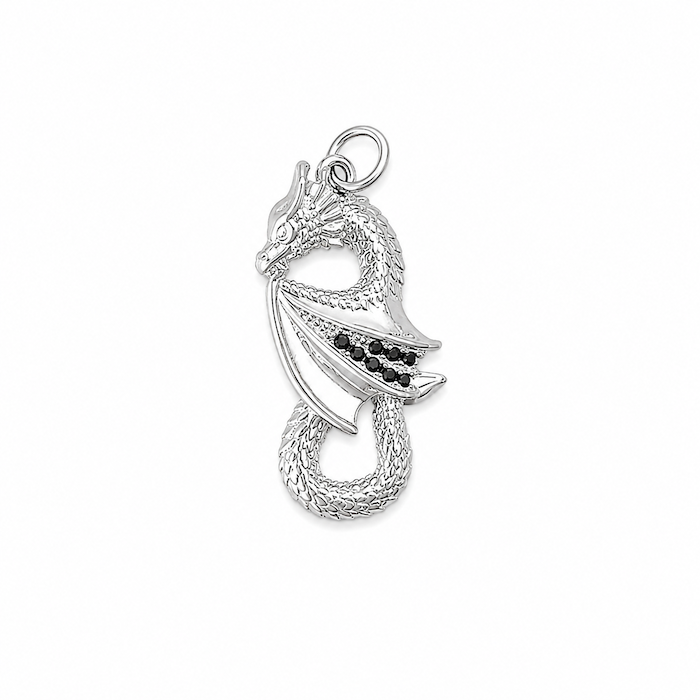 Silver Black Dragon Charm (SURPRISE)