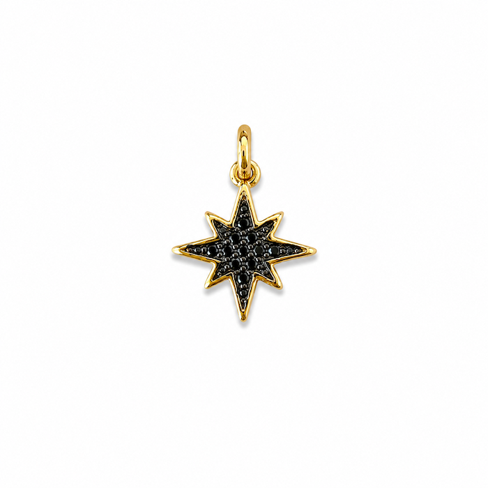 Black Crystal Tiny North Star Charm (SURPRISE)