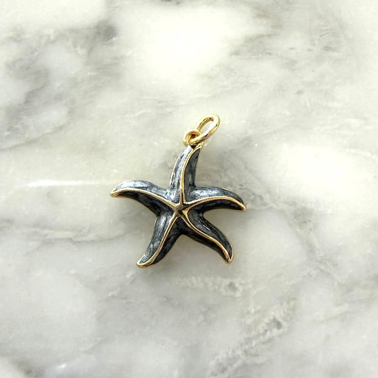 Dark Grey Starfish Charm (SURPRISE)