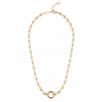 Pignose -Single Carabiner Charm Necklace Bundle – (Chain + 5 Charms) - TT LIVE