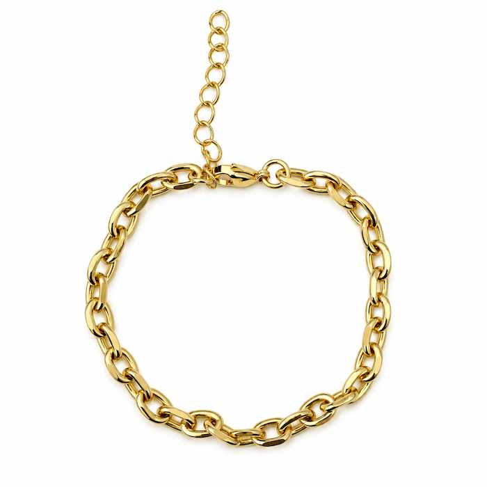 Gold Link Bracelet Bundle - (Chain + 5 Charms) TT LIVE