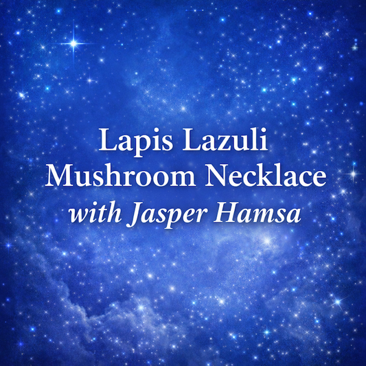 Lapis Lazuli Mushroom Necklace-Jasper Hamsa (Truth Seeker)