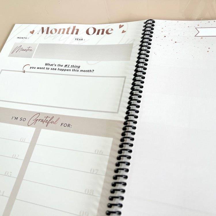 Vision Board Planner [BLUSH]