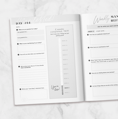 Manifesting Journal